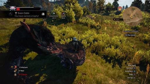 The Witcher 3: Wild Hunt - Гайд по достижениям The Witcher 3: Wild Hunt